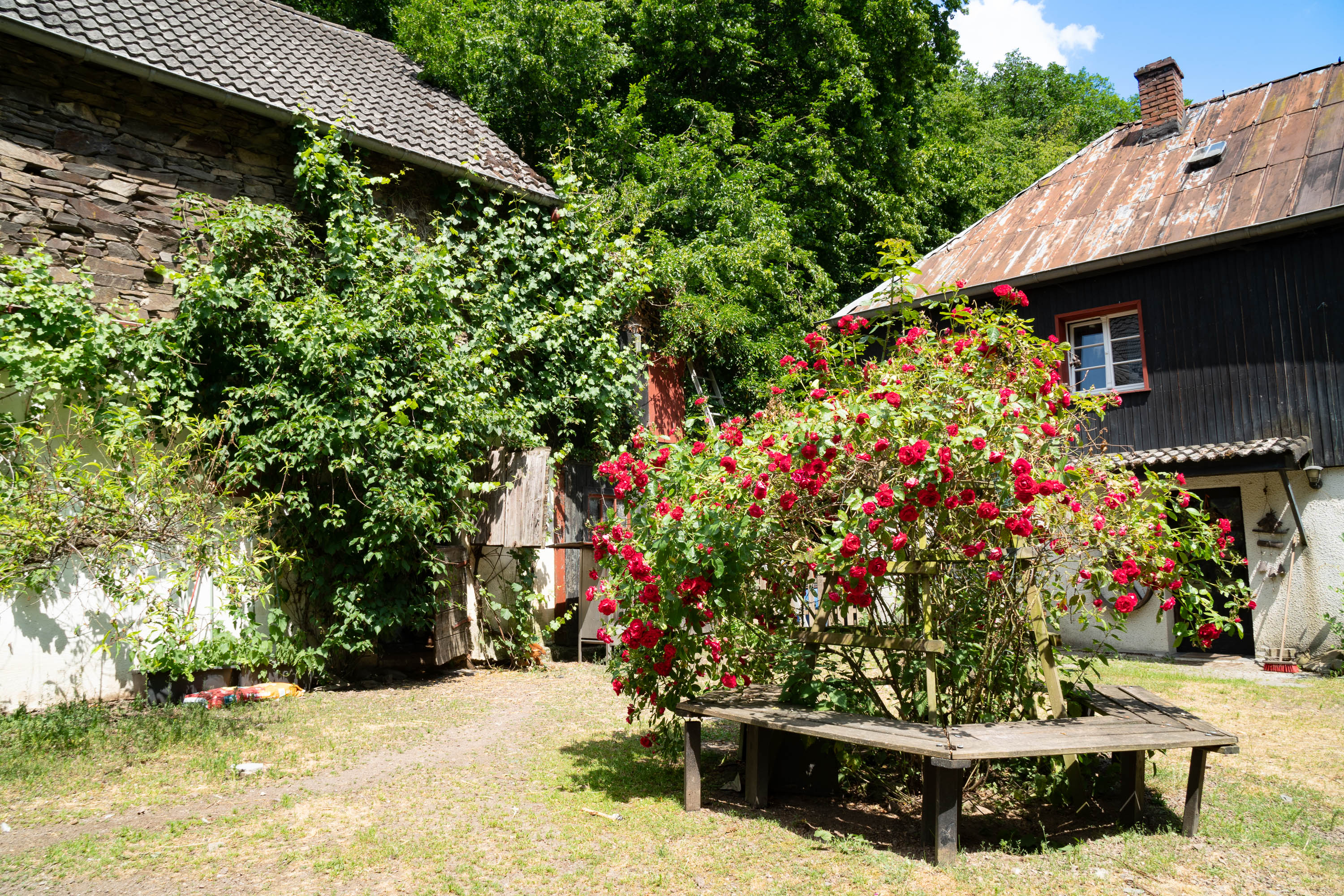 Strotzbüscher Mühle (Neumühle)